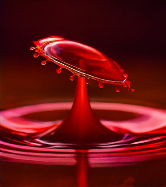 창의적 탐험 세계